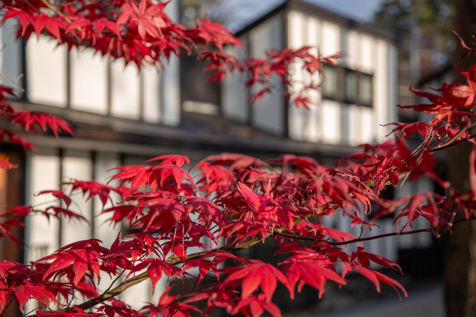 Glamping Hanz Kawaguchiko 富士河口湖町