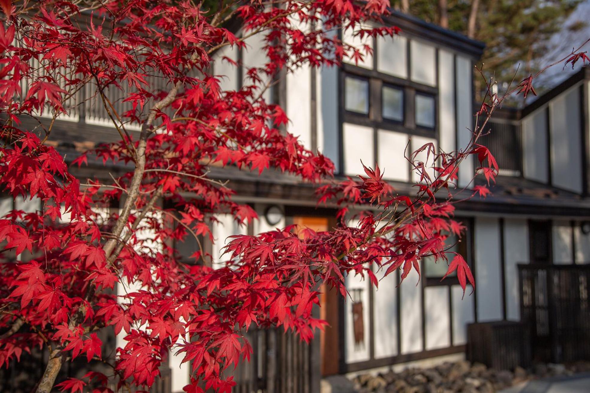 Glamping Hanz Kawaguchiko * 富士河口湖町